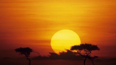 Пътешествие от опиумните полета на Китай до далечна Африка