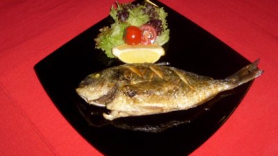 Лесна ципура на фурна