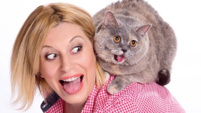 Как да се подготвим преди да вземем коте у дома в 10 стъпки