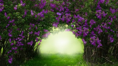 Поверия за Летен Атанасовден – какво не бива да се прави на 5 юли