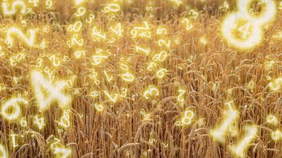 Нумерологична прогноза за 12 август