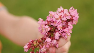 Клуб за био мами и татковци отваря врати в София
