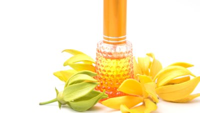 4 етерични масла, потискащи стреса и тревожността 