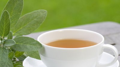 Салвия – билката на дълголетието и доброто здраве!