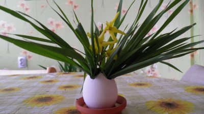 Жива трева за Великден