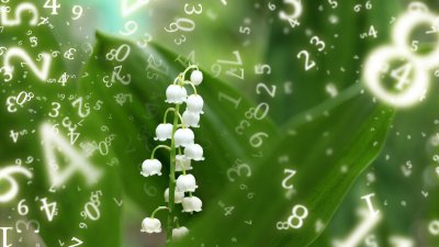 Седмична нумерологична прогноза за 21 – 27 април