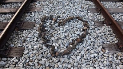 Рутината в секса и в кухнята е полезна