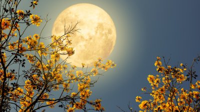 3 зодии с най-голям късмет на пълнолунието на 7 септември