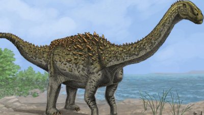 Българската палеонтология с първа находка от дългошиест динозавър