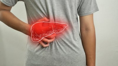 Как да разпознаете омазнения черен дроб?