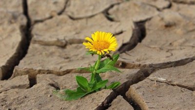 Мисъл на деня за живота