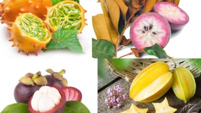 10-те най-полезни екзотични плода (галерия) 