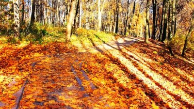 Светлинна терапия срещу депресията