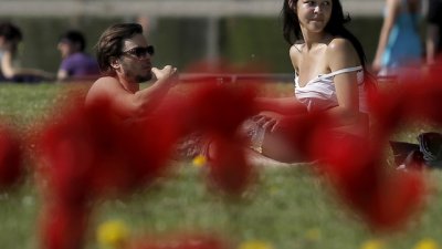 Грешките на младото семейство