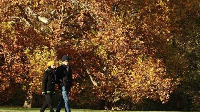 10 причини да излезете на любовна среща