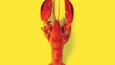 Разказ за отговорността, която родителите носят за деянията на децата