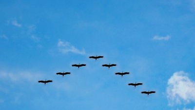 Мисъл на деня за положителното в живота