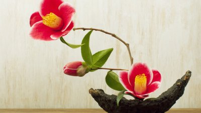 20 японски поговорки, които ще променят живота ви