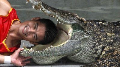 В една къща с тъща – как да оцелеят мъжете