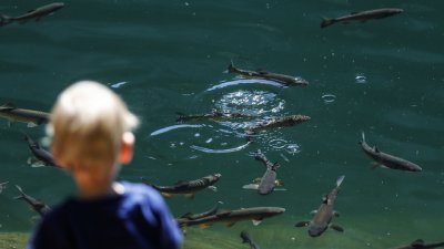 Заведете детето на риболов