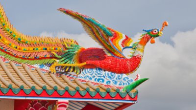 Символно значение на пауна в дома според фъншуй 