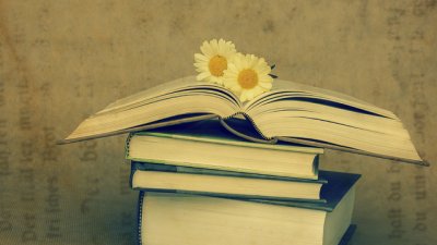 Бразилска мъдрост на деня