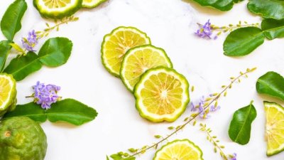 Atkinsons – съвременното висше общество