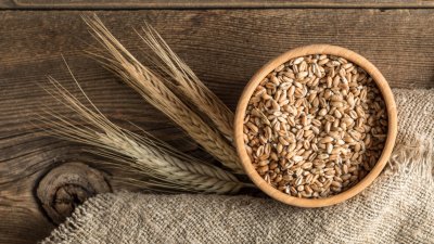 Как протича един ден на житния режим на Петър Дънов