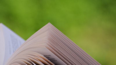 Френска мъдрост на деня