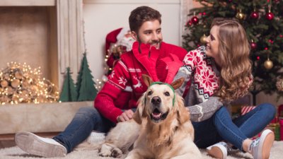 Любовен хороскоп за 24 – 30 декември 