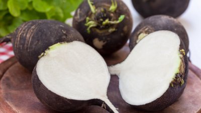 Здравословните ползи от черната ряпа 