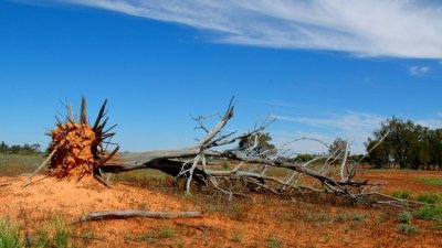 Мисъл на деня