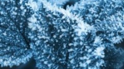 Различаваме ли степените на измръзване?