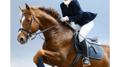 „Повелителката на конете“ – Джоджо Мойс