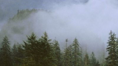 Природните ни паркове отварят врати