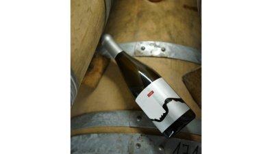 Българско шардоне се нареди сред най-добрите в света