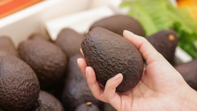 Безопасно ли е да ядете кафяво авокадо? 