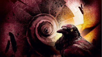 История, която ни кара отново да повярваме в любовта