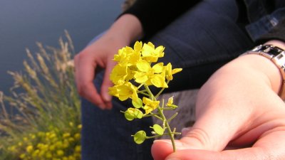 Прошката лекува негативните емоции и спомени