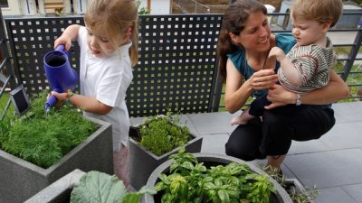 Мястото на децата в домакинската работа