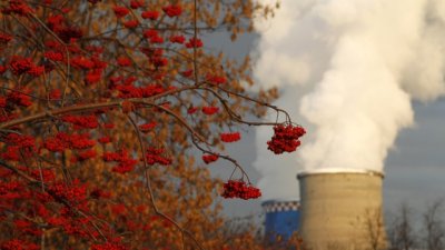 Екологията среща изкуството – изложба „Екоарт-12“ на Саша Тодорова