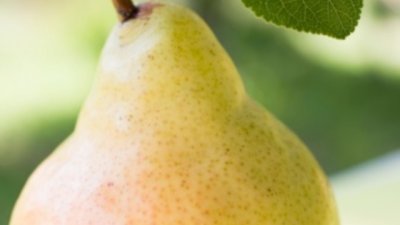 Подхранваща маска с круши