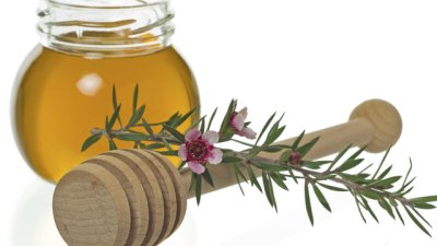 Лечебните свойства на маслото от чаено дърво