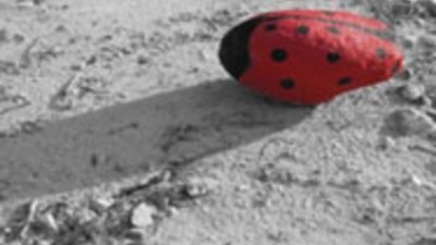 Нестандартни форми в природна среда