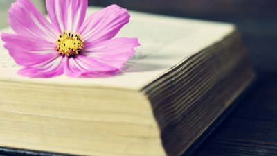 Притча за бащата