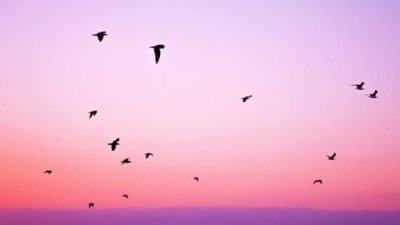 Мисъл на деня... за вътрешния мир