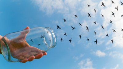 Мисъл на деня