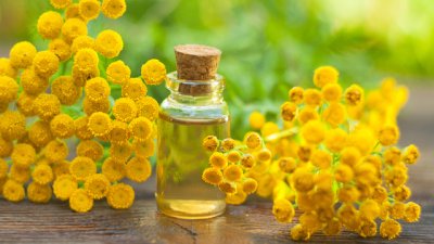 Масло от синя вратига – ползи за кожата и красотата 