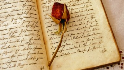 Френска мисъл на деня