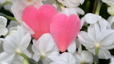 Участвайте в новия любовен конкурс на Az-jenata.bg